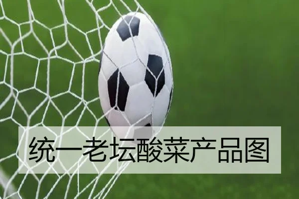 统一老坛酸菜产品图 - leyu