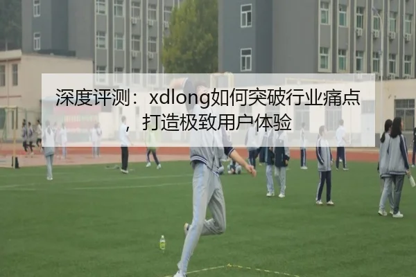 深度评测：xdlong如何突破行业痛点，打造极致用户体验（leyu）